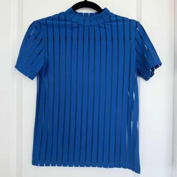 ZARA | Mesh Pinstripe mock neck blouse - Picture 1 of 10